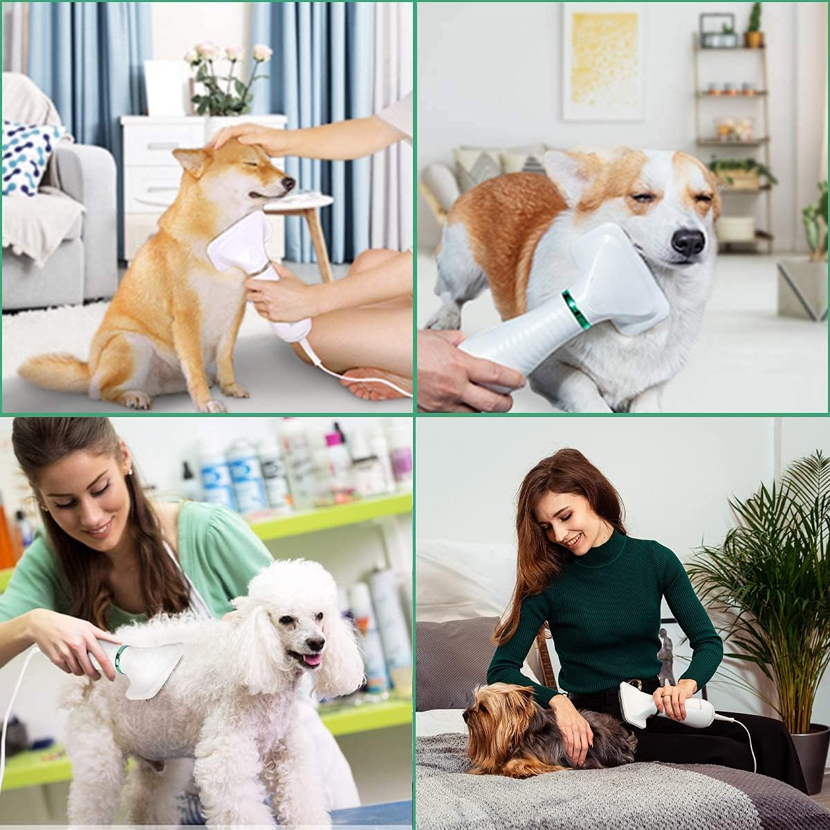 PetGroom Pro: Secador y Cepillo 2 en 1 para Mascotas